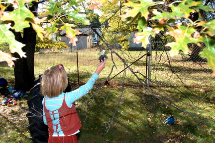Finding fairies