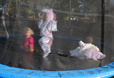 Equestrian trampoline?