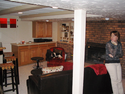 New fireplace cabinets